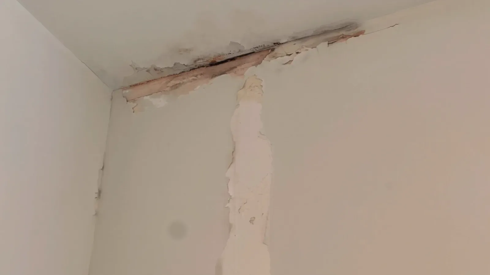 Paint peeled away along the junction of an interior drywall wall and ceiling, water staining on the drywall behind it